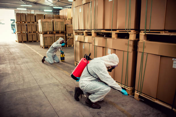 Best Rat Extermination Near Me  in Gates Mills, OH