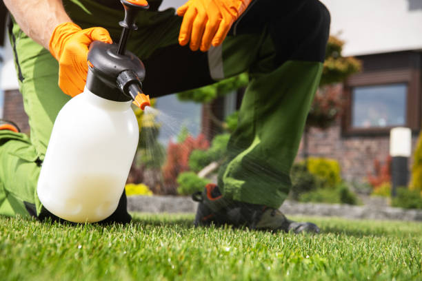 Best Local Pest Control Services  in Gates Mills, OH