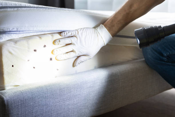 Best Cockroach Control Services  in Gates Mills, OH