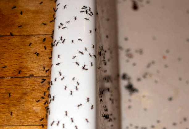 Best Commercial Pest Control Services  in Gates Mills, OH