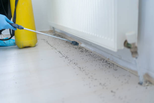 Reliable Gates Mills, OH Pest Control Solutions
