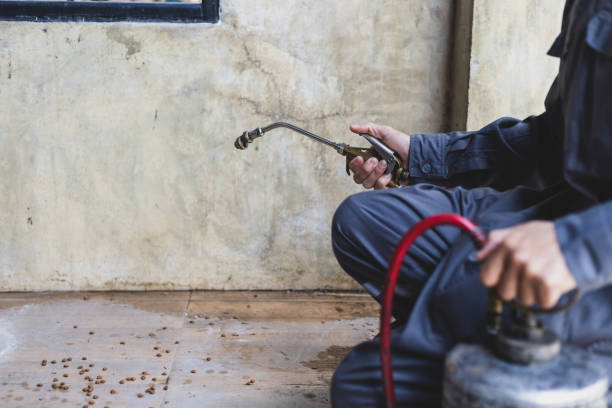 Best Affordable Pest Control Services  in Gates Mills, OH